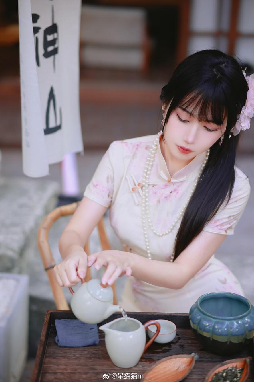 不呆猫西域：精美的图包分享