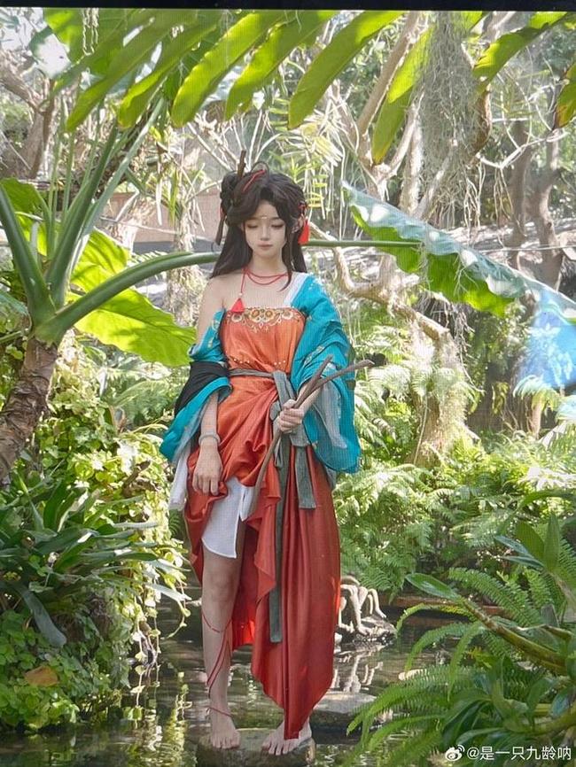 是一只九龄为什么叫栗子？这张照片中，秋日的气息扑面而来。
