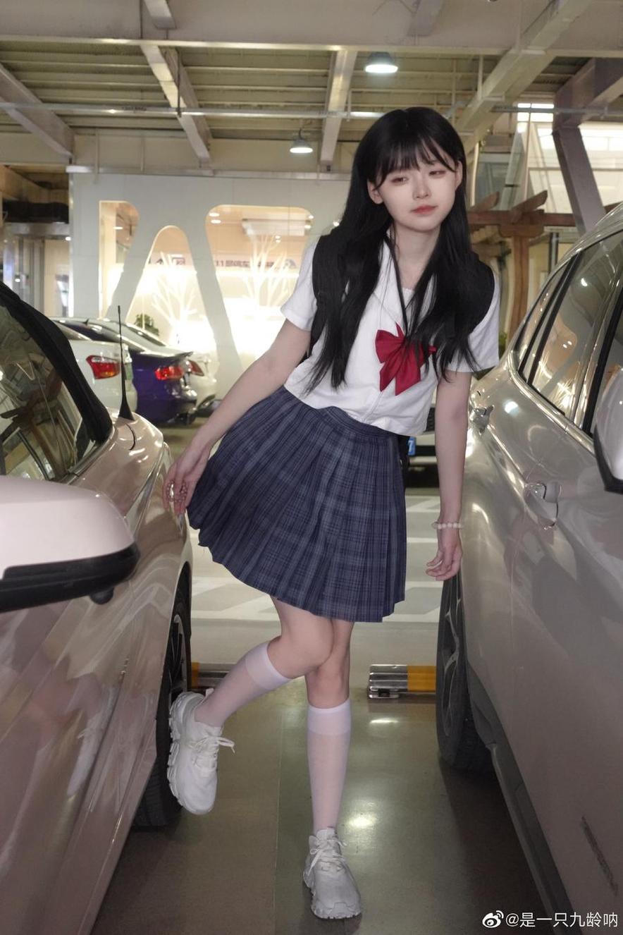 是一只九龄身高多少，美图分享，欢迎品鉴