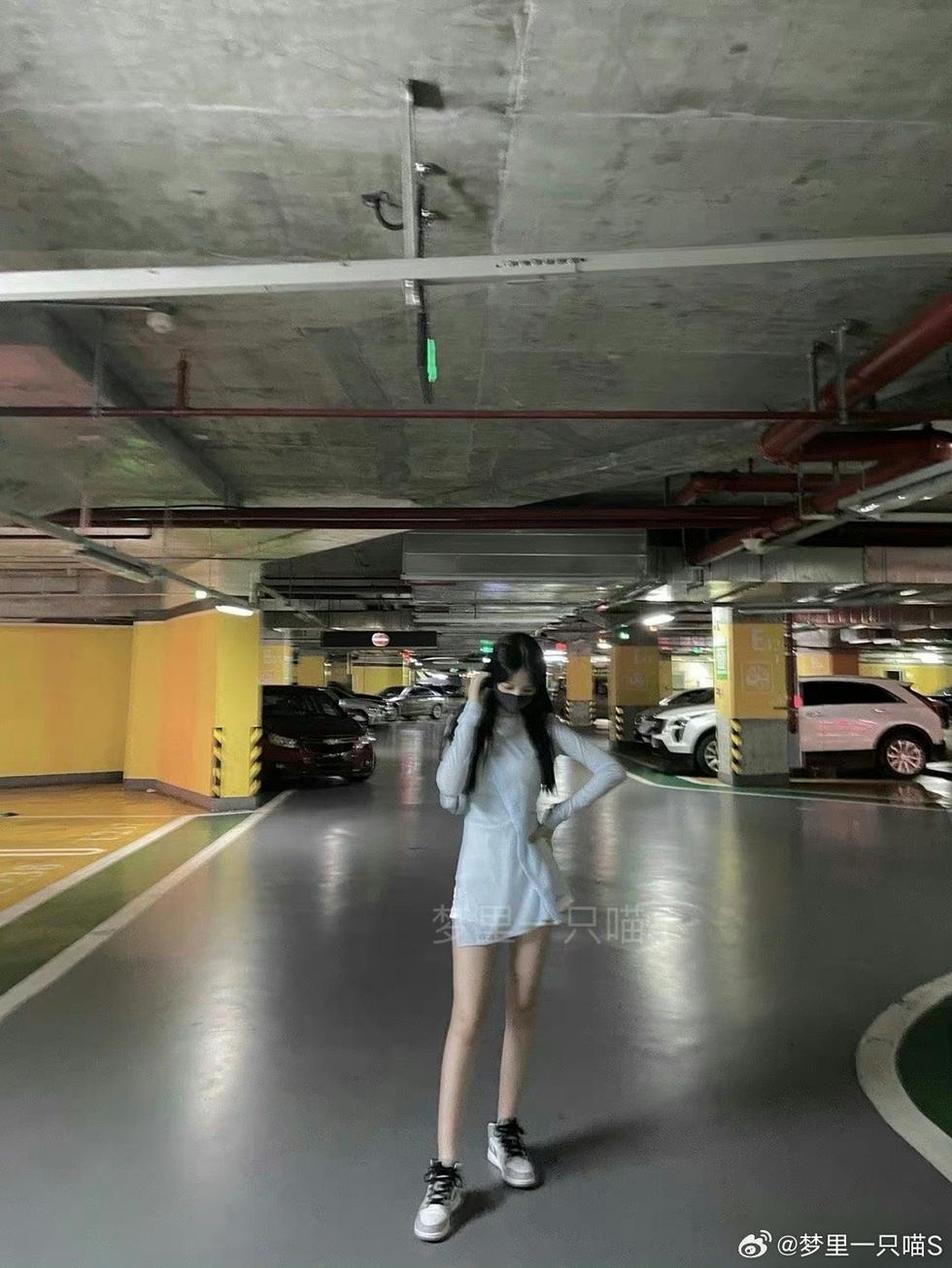 梦里一只喵灰丝 图片赏析，流连忘返的视觉盛宴。